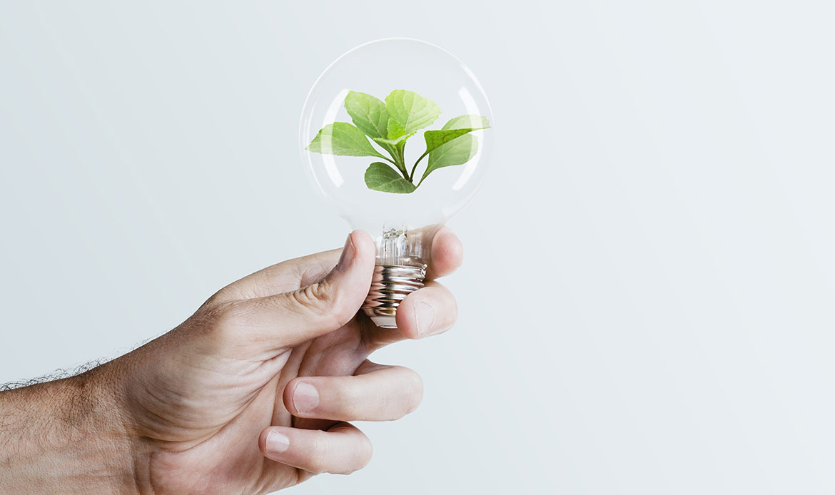 Risparmio Residenze L'Oliveto Cecchignola Ovest Roma